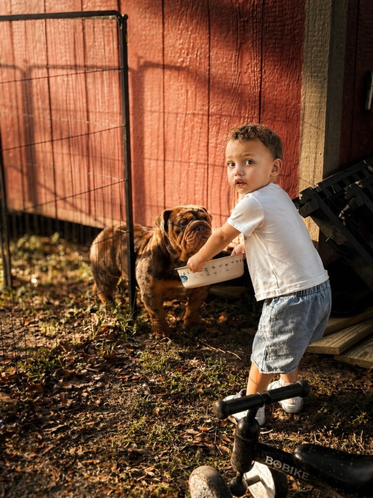 Grayson outdoors with an English bulldog near a red barn wall